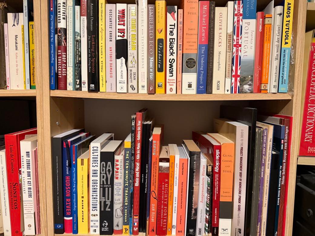 Two shelves of a bookcase, paperbacks and hardbacks packed tight