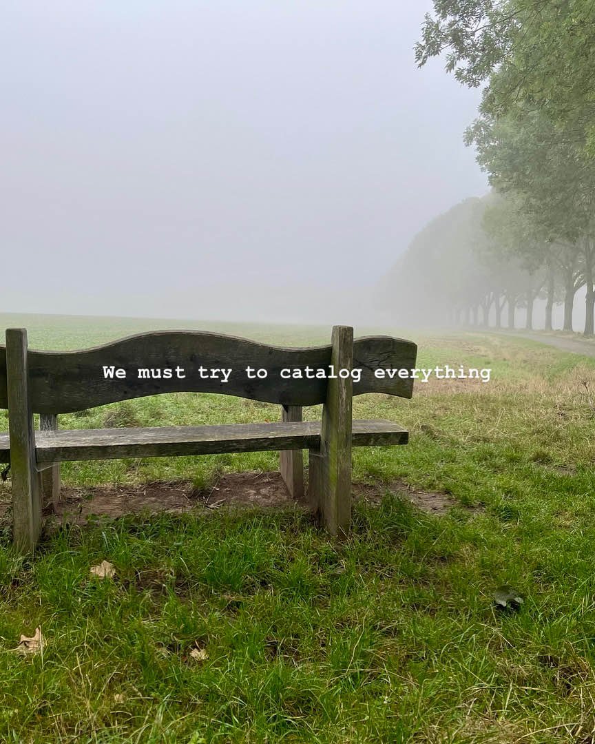A weathered wooden bench in a foggy field beside a line of trees, captioned: We must try to catalog everything